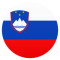 Slovenian Flag